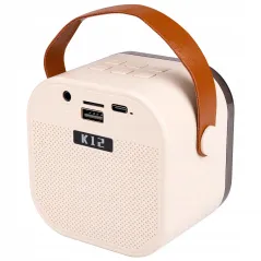 KARAOKE DLA DZIECI GŁOŚNIK BEZPRZEWODOWY 2 MIKROFONY BLUETOOTH