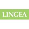 Lingea