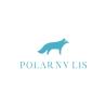 Polarny Lis