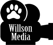 Willson Media